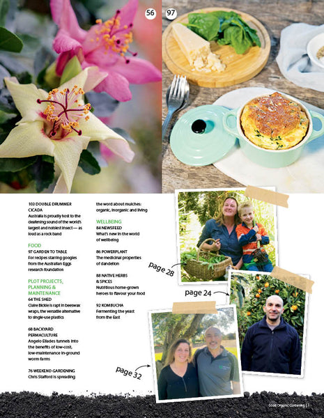 Good Organic Gardening Magazine Issue 134