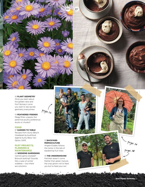 Good Organic Gardening Magazine Issue 16.6