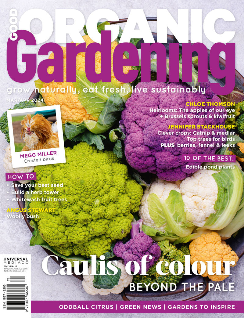 Good Organic Gardening Magazine Issue 14.6