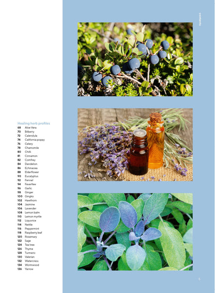 Smart Food Ideas: Miracle of Herbs