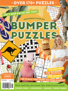 Progress Puzzles Bumper 1 Cover