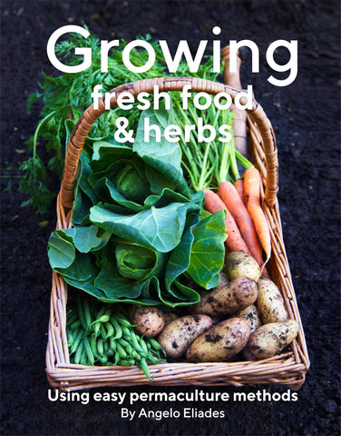 Growing Fresh Food & Herbs Cover