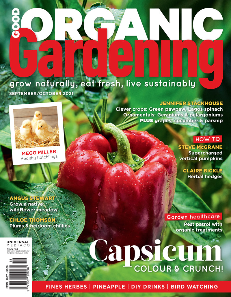 Good Organic Gardening Magazine Issue 123