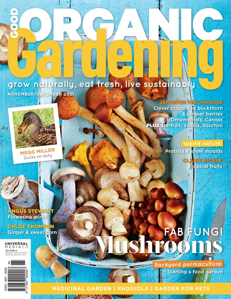 Good Organic Gardening 124 CoverFrom garden to table, Good Organic Gardening inspires readers to be in charge of their own fresh food. This magazine offers tips and tricks to make your garden a delectable one. good organic gardening cover issue 124