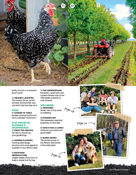 Good Organic Gardening Magazine Issue 135