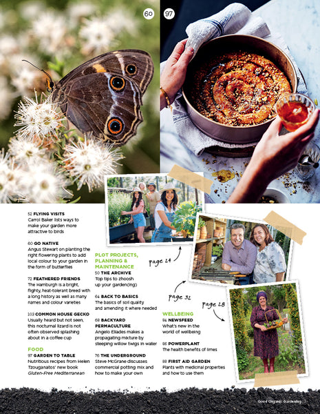 Good Organic Gardening Magazine Issue 141