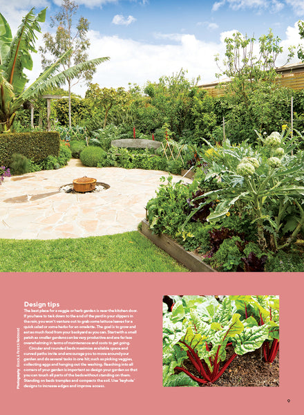 Grow Food, Herbs & Medicinal in Small Gardens