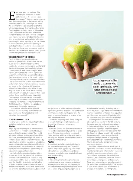 WellBeing Food Bible Bookazine 2017 preview 3